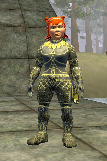 eq2 tier 8 handcrafted leather
