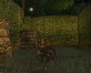 lotroclient-2009-03-29-14-36-10-46