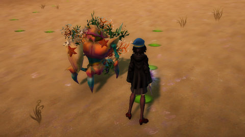 Wizard vs Crab