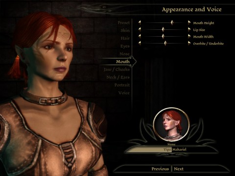 Dragon Age Origins character