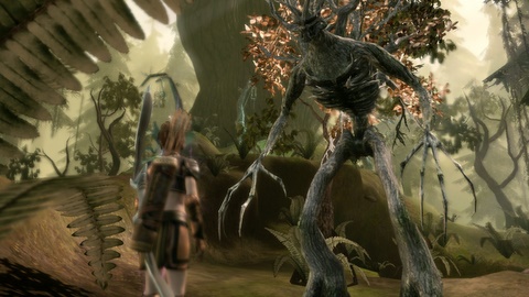 A friendly treant in the Brecilian Forest